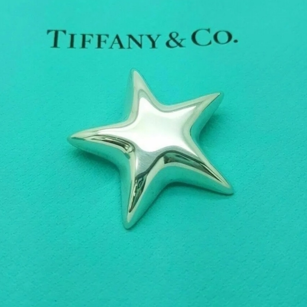 Tiffany & Co. Sterling Silver Star Brooch With Box